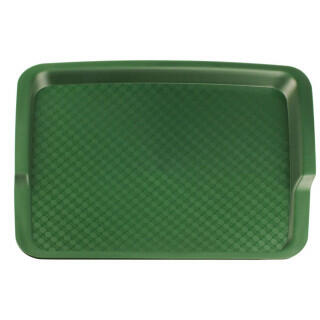 Поднос Рестола зеленый (425х320*20 мм)